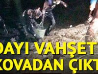 Ankara'da korkunç cinayet: Yeğenini öldürüp parçalara ayırdı