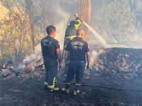 Son dakika... Ilgaz'ın Beyköyü'nde yangın