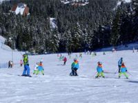 Ilgaz, Türkiye Kızak Şampiyonası'na hazırlanıyor