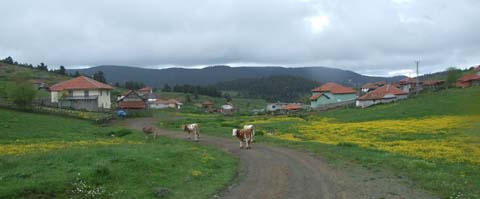 Yapraklı ilçesinden görüntüler... 18