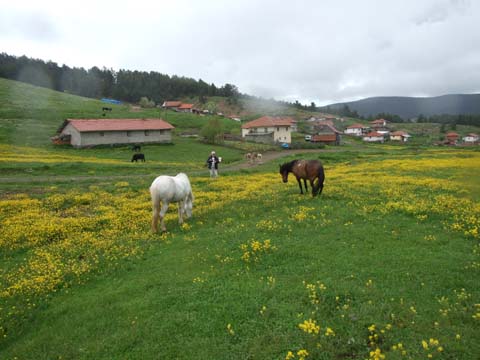 Yapraklı ilçesinden görüntüler... 20