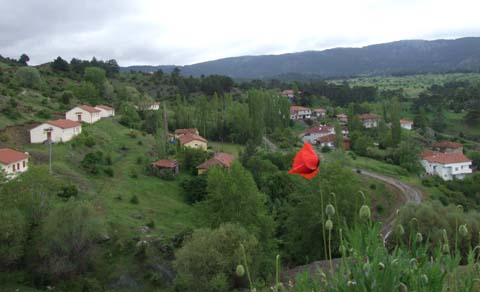 Yapraklı ilçesinden görüntüler... 25