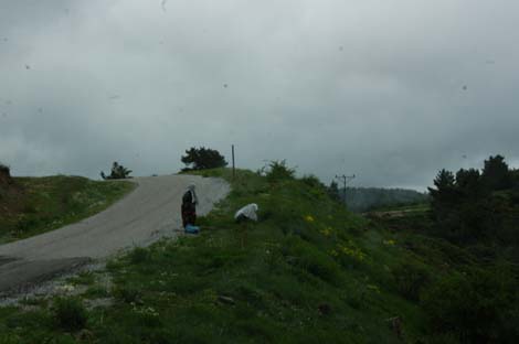 Yapraklı ilçesinden görüntüler... 29