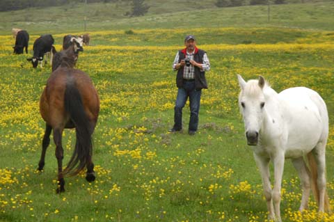 Yapraklı ilçesinden görüntüler... 31