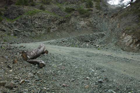 Yapraklı ilçesinden görüntüler... 32