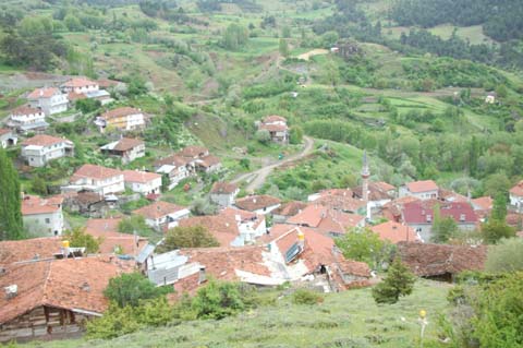 Yapraklı ilçesinden görüntüler... 34
