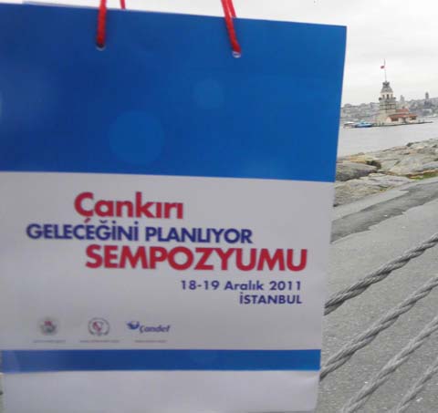 Çankırı Geleceğini Planlıyor - İstanbul Toplantısı 7