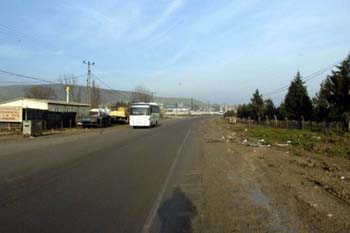 Sevilen türkücü Kıvırcık Ali trafik kazası kurbanı 9