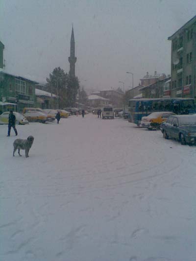 Kurşunluda yoğun kar yağışı ulaşımı engelliyor 4