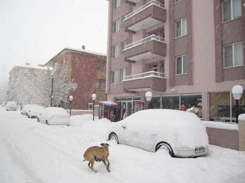 Kızılırmaklı ilçede hapis! 12