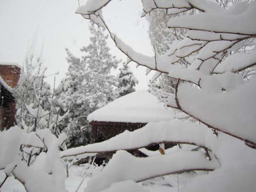 Kızılırmaklı ilçede hapis! 16