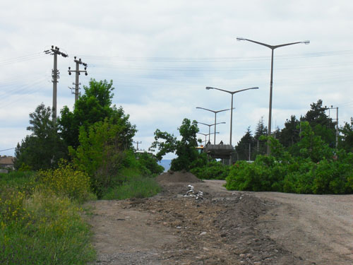 Çankırıda tam gaz AĞAÇ katliamı 1