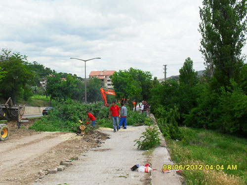 Çankırıda tam gaz AĞAÇ katliamı 10