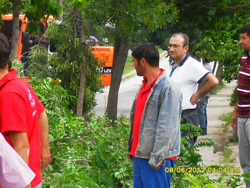 Çankırıda tam gaz AĞAÇ katliamı 11