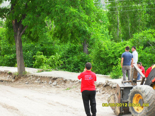 Çankırıda tam gaz AĞAÇ katliamı 6