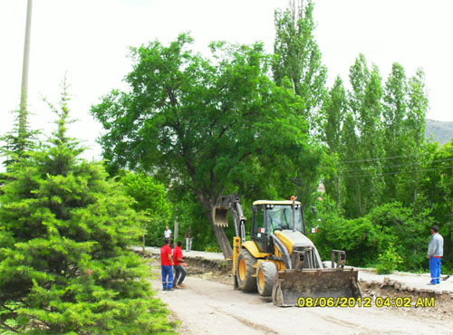 Çankırıda tam gaz AĞAÇ katliamı 7