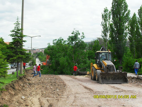 Çankırıda tam gaz AĞAÇ katliamı 8