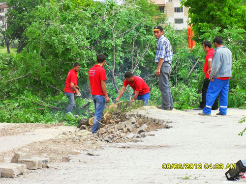Çankırıda tam gaz AĞAÇ katliamı 9