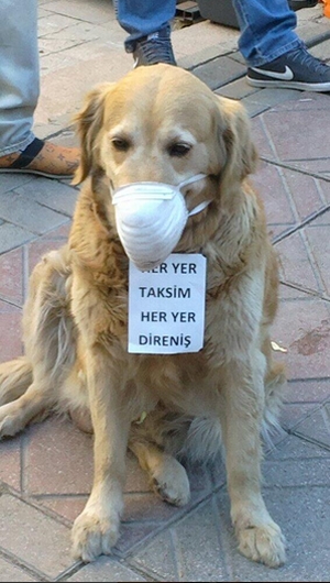 Ankarada Gezi gösterileri 31