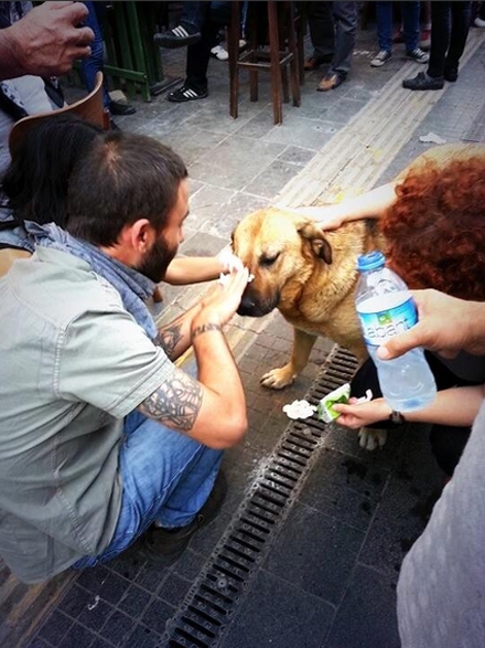 Ankarada Gezi gösterileri 42