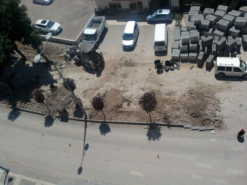 Çankırıda ağaç kesimi tam gaz! 1