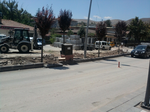 Çankırıda ağaç kesimi tam gaz! 3