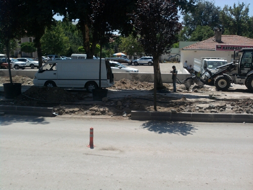 Çankırıda ağaç kesimi tam gaz! 4