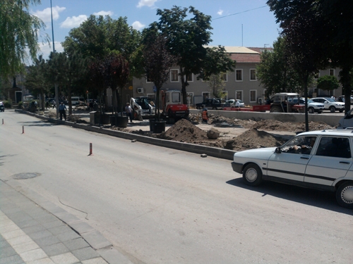 Çankırıda ağaç kesimi tam gaz! 5