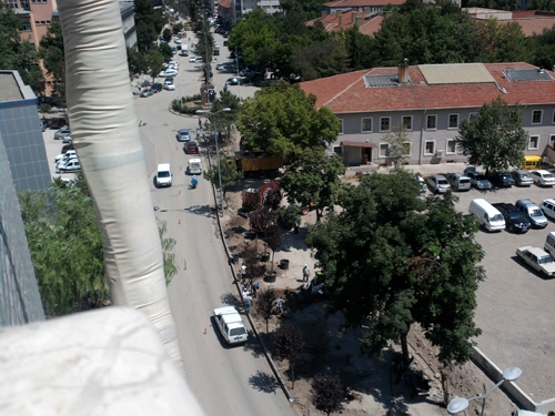 Çankırıda ağaç kesimi tam gaz! 7