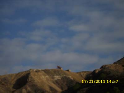 Müteahhid çok tehlikeli bir oyun oynuyor 1