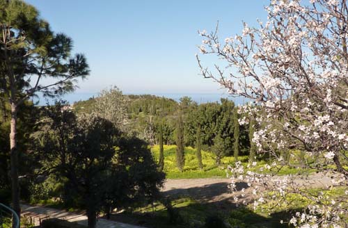 Deniz Manzaralı ILGAZdan görüntüler... 11