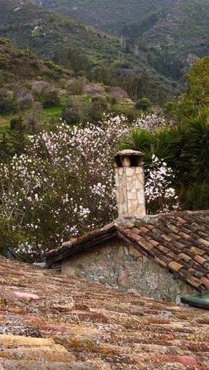 Deniz Manzaralı ILGAZdan görüntüler... 2