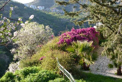 Deniz Manzaralı ILGAZdan görüntüler... 3