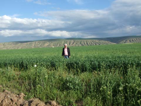 Sözcü18 seçim kervanı Yukarı Alagözde 7