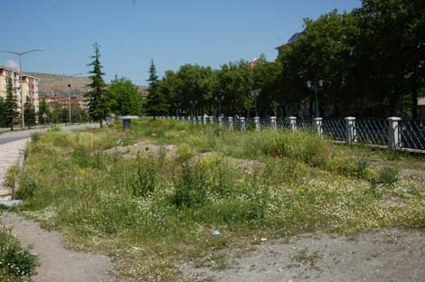 İstismarın bu kadarı da fazla 2