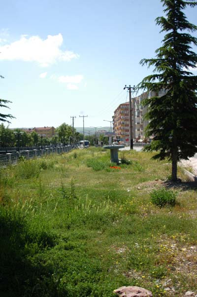 İstismarın bu kadarı da fazla 4