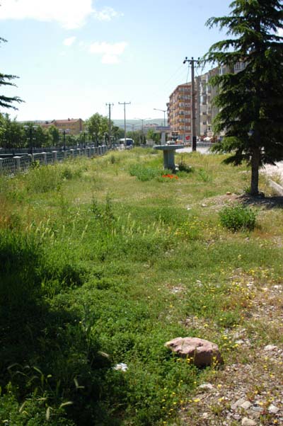 İstismarın bu kadarı da fazla 6