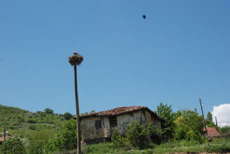 Seçim Kervanı Ilgaz - İnköyde 1