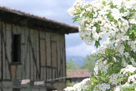 Seçim Kervanı Ilgaz - İnköyde 2