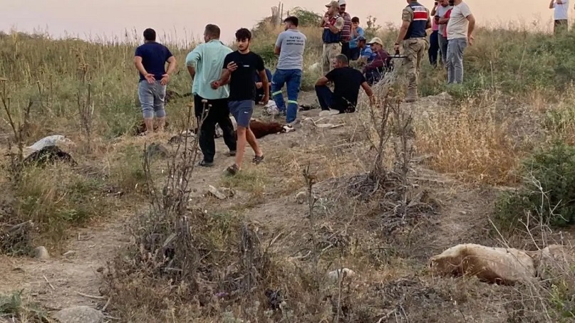 Hatay'da dereden su içen 64 küçükbaş hayvan can verdi