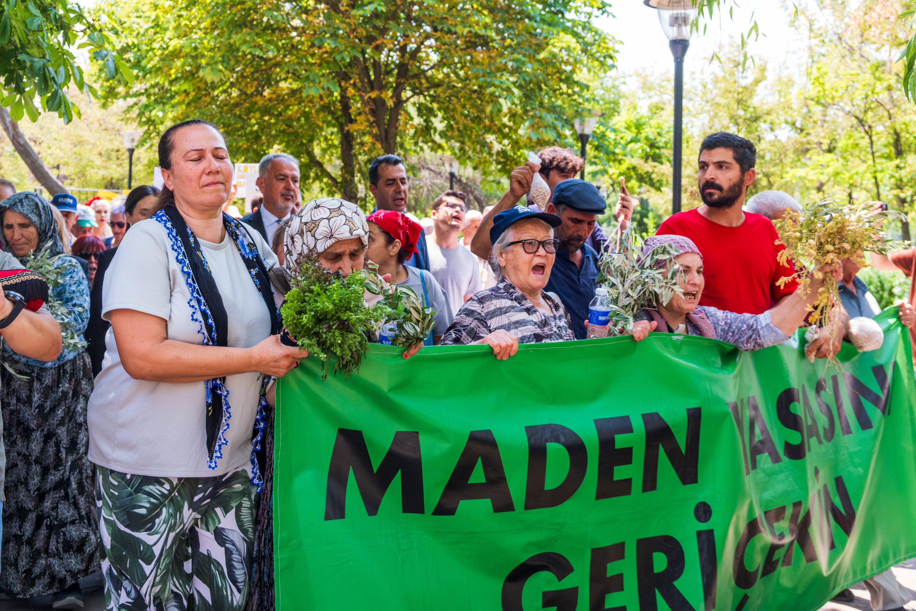 Ankara'da zeytinleri için nöbet tutan yurttaşlardan 'açlık grevi' kararı