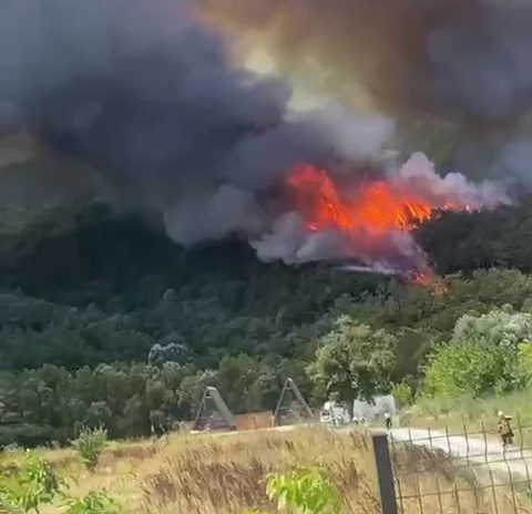3 gün sonra söndürülmüştü, yeni yangın çıktı: Karayolu kapatıldı!