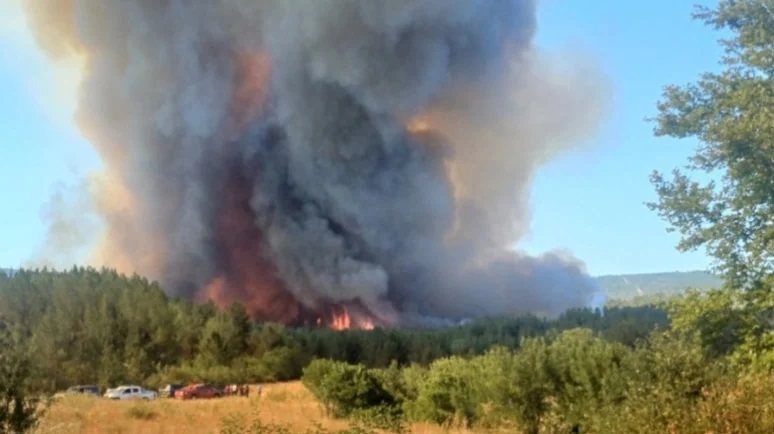 Evlendikten 10 gün sonra yangında şehit oldu
