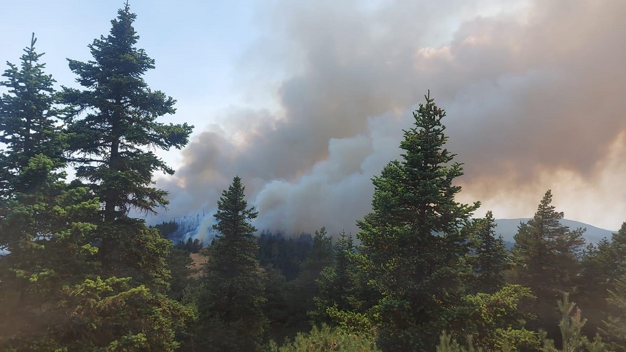 Çankırı'da 'orman' yangını: Rüzgarın etkisiyle tehlikeli boyutlara ulaşabilir!