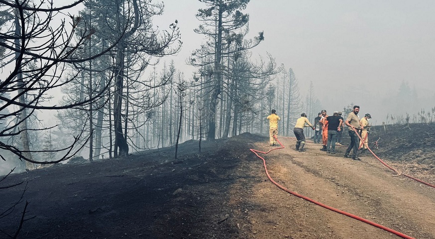 Çankırı'daki orman yangını söndürüldü