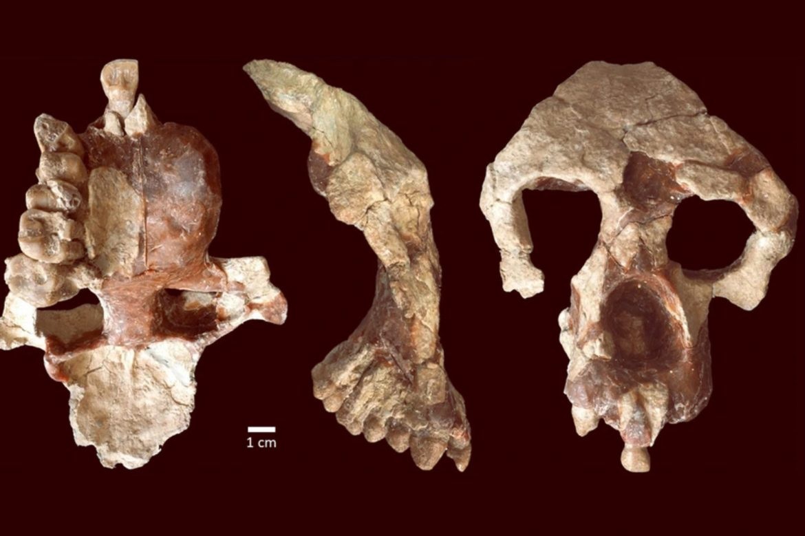 Bilimsel dergi "Nature Science" insan orjininin 'Çankırı' olduğunu kabul etmiş
