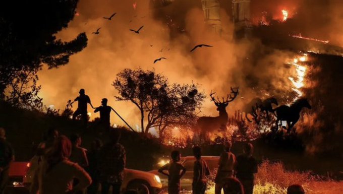 Çanakkale'de orman yangını: 4 kişi gözaltına alındı