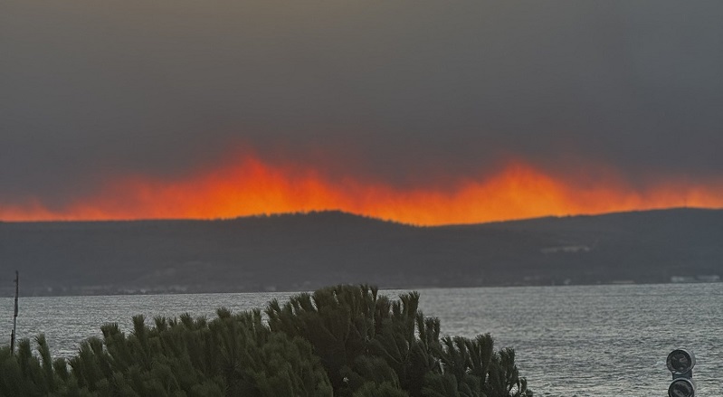 Gelibolu'da orman yangını... Köyler tahliye ediliyor