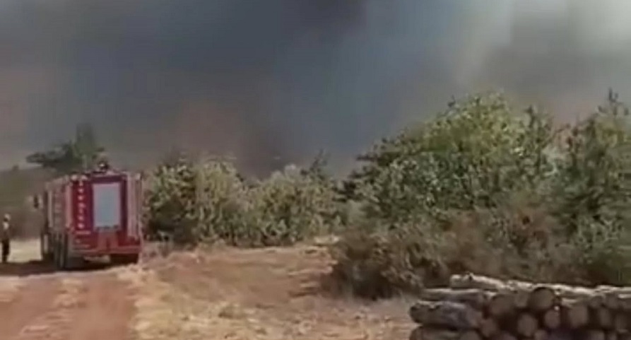 Karabük'te orman yangını: Bir mahalle boşaltıldı!