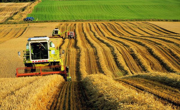 Konya büyüklüğündeki Hollanda dünyayı doyuruyor